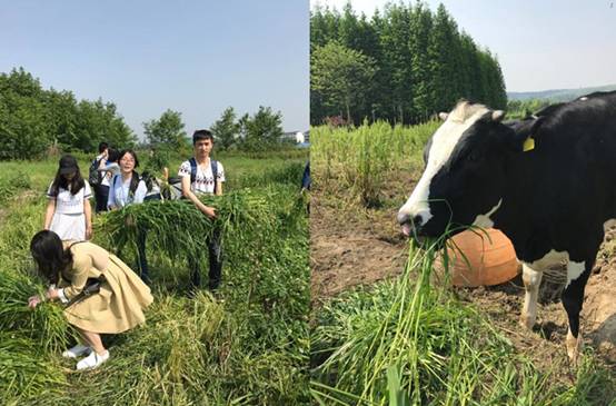 足球现场直播比分