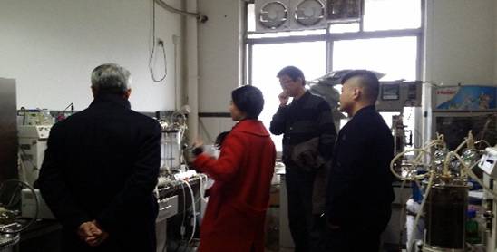 足球现场直播比分