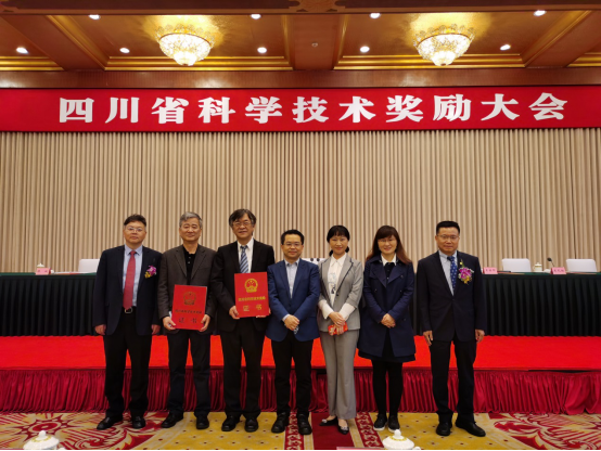 足球现场直播比分