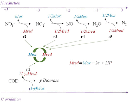 足球现场直播比分