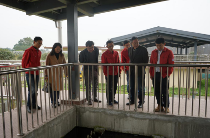 足球现场直播比分