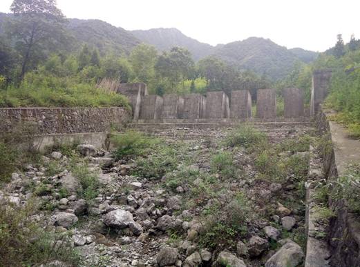 足球现场直播比分