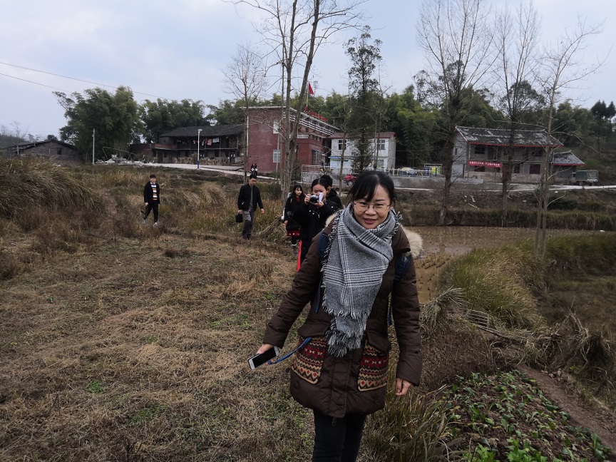 足球现场直播比分