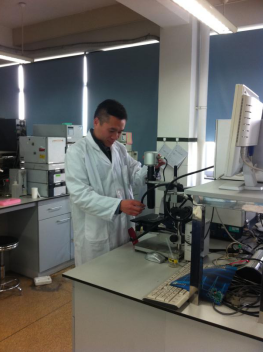 足球现场直播比分