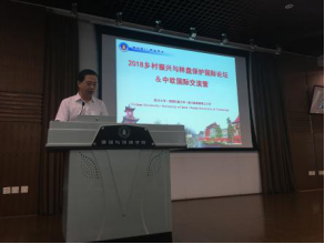 足球现场直播比分