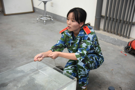 足球现场直播比分