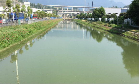 足球现场直播比分