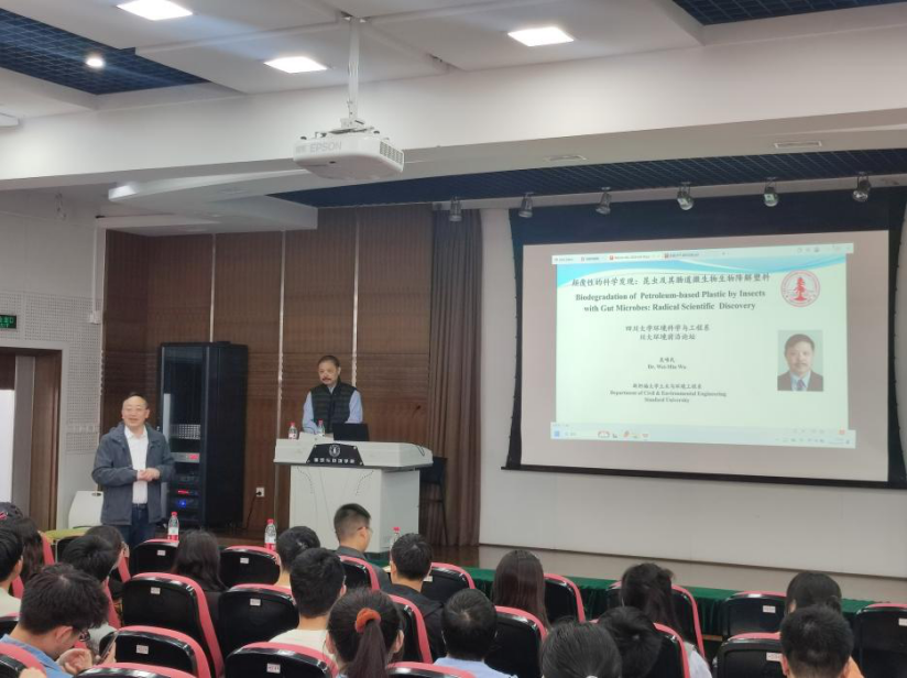 足球现场直播比分