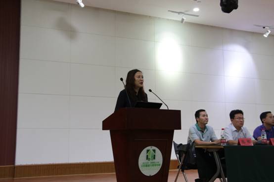 足球现场直播比分