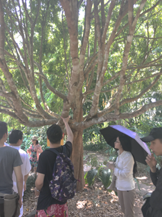 足球现场直播比分