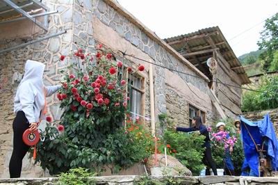 足球现场直播比分