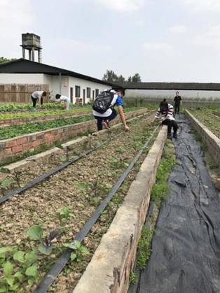 足球现场直播比分